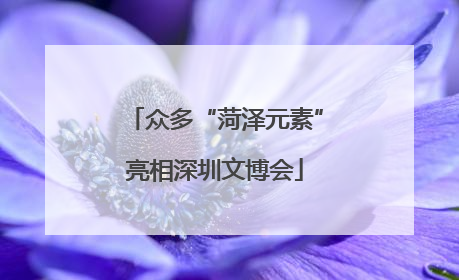 众多“菏泽元素”亮相深圳文博会