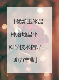 优新玉米品种落地昌平 科学技术指导助力丰收