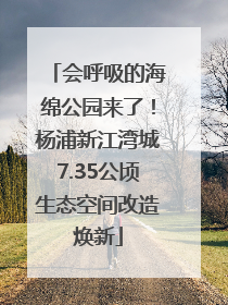 会呼吸的海绵公园来了！杨浦新江湾城7.35公顷生态空间改造焕新