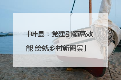 叶县：党建引领高效能 绘就乡村新图景