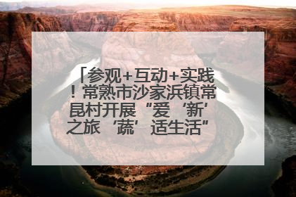 参观+互动+实践！常熟市沙家浜镇常昆村开展“爱‘新’之旅‘蔬’适生活”参观学习活动