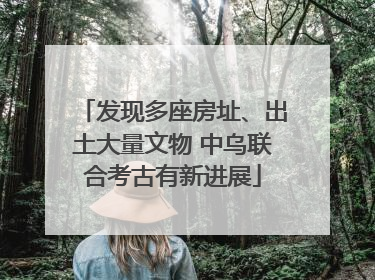 发现多座房址、出土大量文物 中乌联合考古有新进展
