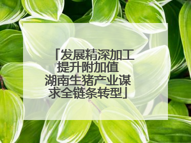 发展精深加工 提升附加值 湖南生猪产业谋求全链条转型