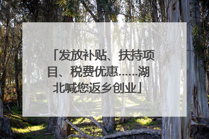 发放补贴、扶持项目、税费优惠……湖北喊您返乡创业