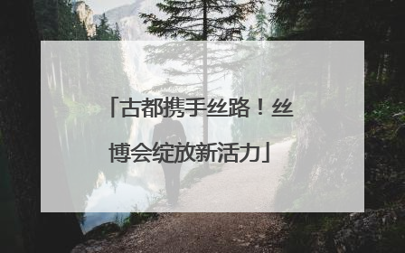 古都携手丝路！丝博会绽放新活力