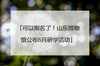可以报名了！山东博物馆公布6月研学活动