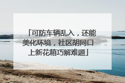 可防车辆乱入，还能美化环境，社区胡同口上新花箱巧解难题