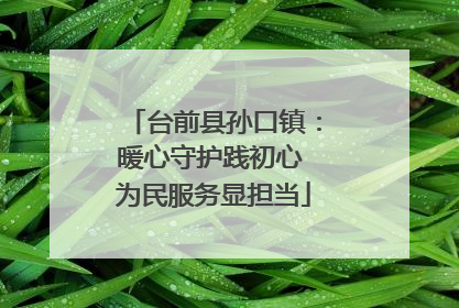 台前县孙口镇：暖心守护践初心 为民服务显担当