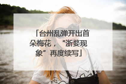 台州乱弹开出首朵梅花，“浙婺现象”再度续写