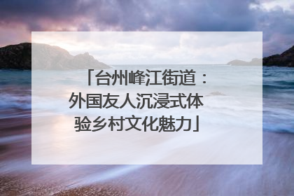 台州峰江街道：外国友人沉浸式体验乡村文化魅力