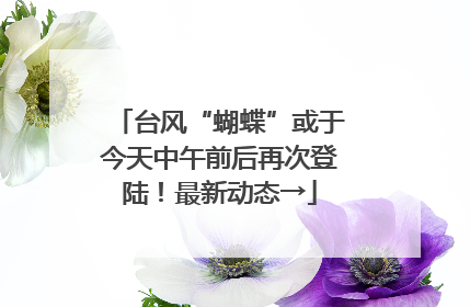 台风“蝴蝶”或于今天中午前后再次登陆！最新动态→