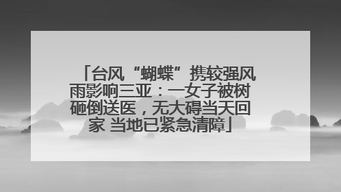 台风“蝴蝶”携较强风雨影响三亚：一女子被树砸倒送医，无大碍当天回家 当地已紧急清障
