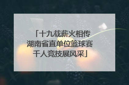 十九载薪火相传 湖南省直单位篮球赛千人竞技展风采