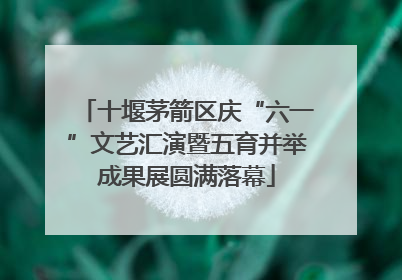 十堰茅箭区庆“六一”文艺汇演暨五育并举成果展圆满落幕