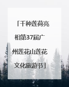 千种莲荷亮相第37届广州莲花山莲花文化旅游节