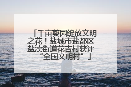 千亩葵园绽放文明之花！盐城市盐都区盐渎街道花吉村获评“全国文明村”