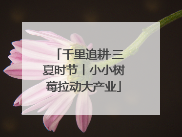 千里追耕·三夏时节丨小小树莓拉动大产业