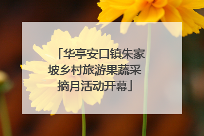 华亭安口镇朱家坡乡村旅游果蔬采摘月活动开幕
