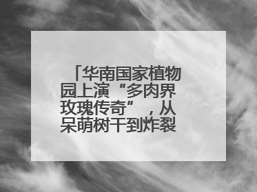 华南国家植物园上演“多肉界玫瑰传奇”，从呆萌树干到炸裂种子全是戏！
