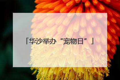 华沙举办“宠物日”
