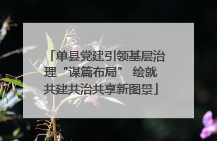 单县党建引领基层治理“谋篇布局” 绘就共建共治共享新图景