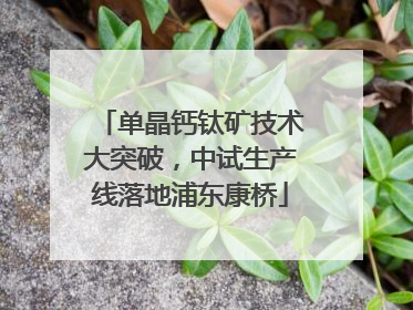 单晶钙钛矿技术大突破，中试生产线落地浦东康桥