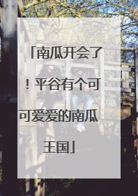 南瓜开会了！平谷有个可可爱爱的南瓜王国