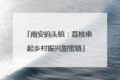 南安码头镇：荔枝串起乡村振兴甜蜜链