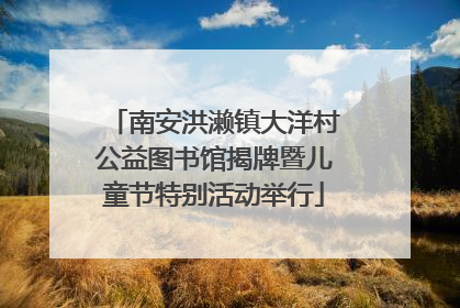 南安洪濑镇大洋村公益图书馆揭牌暨儿童节特别活动举行