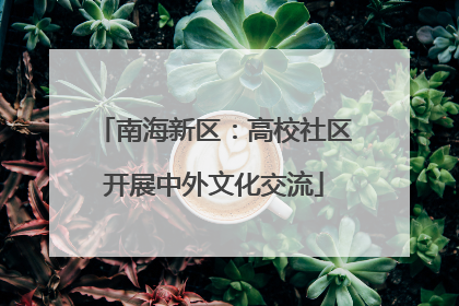 南海新区：高校社区开展中外文化交流