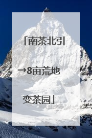 南茶北引→8亩荒地变茶园