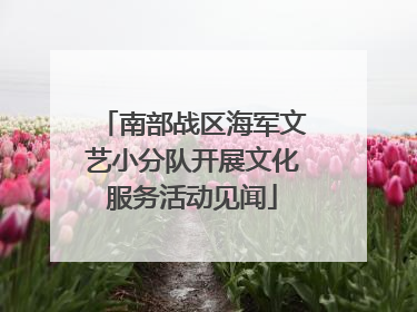 南部战区海军文艺小分队开展文化服务活动见闻