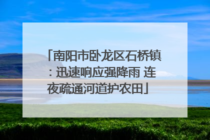 南阳市卧龙区石桥镇：迅速响应强降雨 连夜疏通河道护农田