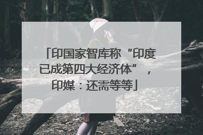 印国家智库称“印度已成第四大经济体”，印媒：还需等等