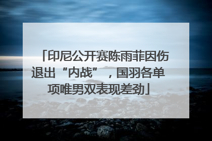 印尼公开赛陈雨菲因伤退出“内战”，国羽各单项唯男双表现差劲