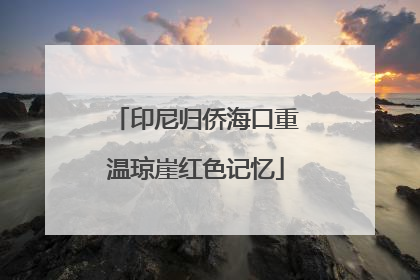 印尼归侨海口重温琼崖红色记忆