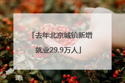 去年北京城镇新增就业29.9万人