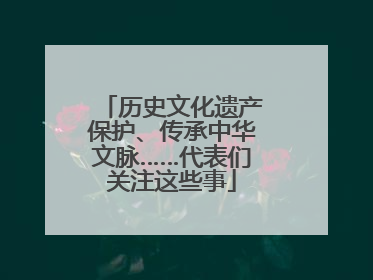 历史文化遗产保护、传承中华文脉……代表们关注这些事
