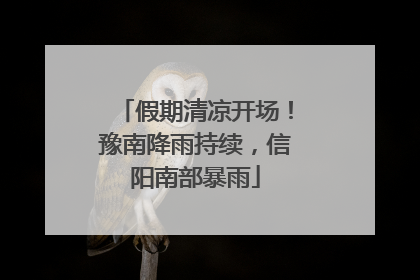 假期清凉开场！豫南降雨持续，信阳南部暴雨