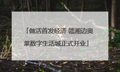 做活首发经济 赣湘边奥莱数字生活城正式开业