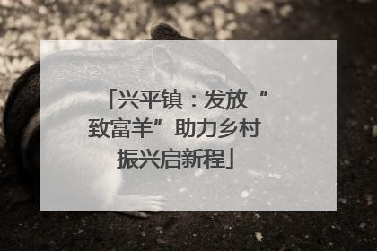 兴平镇：发放“致富羊”助力乡村振兴启新程