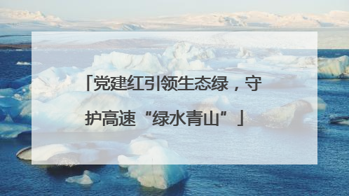 党建红引领生态绿，守护高速“绿水青山”