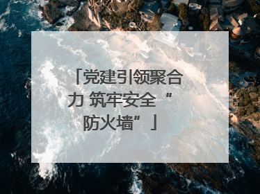党建引领聚合力 筑牢安全“防火墙”