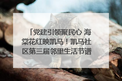 党建引领聚民心 海棠花红映凯马！凯马社区第三届邻里生活节谱写幸福新篇章