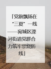 党旗飘扬在“三夏”一线——宛城区溧河街道党群合力筑牢禁烧防线