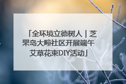 全环境立德树人｜芝罘岛大疃社区开展端午艾草花束DIY活动