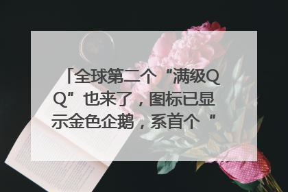 全球第二个“满级QQ”也来了，图标已显示金色企鹅，系首个“满级QQ”的小号