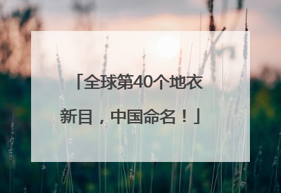 全球第40个地衣新目，中国命名！
