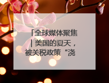 全球媒体聚焦｜美国的夏天，被关税政策“浇灭”了热情
