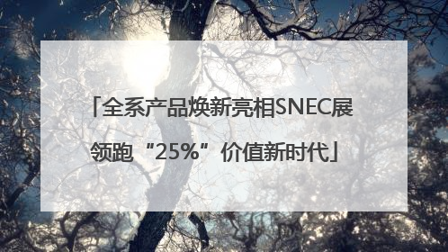 全系产品焕新亮相SNEC展 领跑“25%”价值新时代